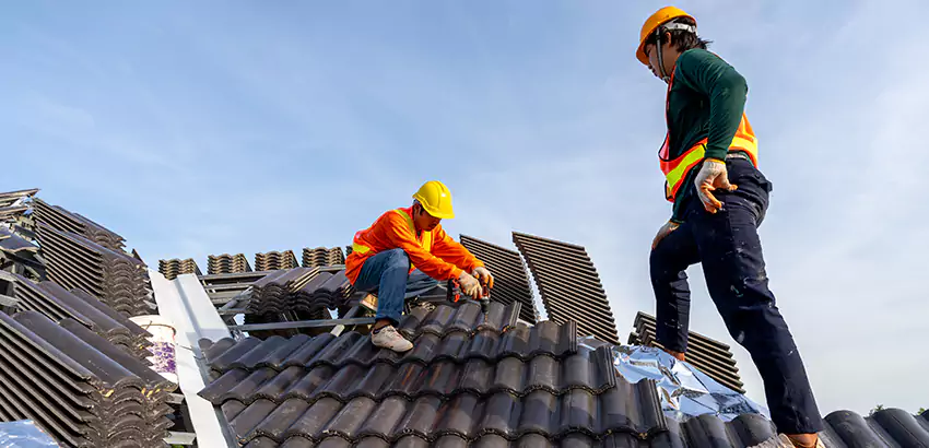 Professional Roofing Services in El Cajon, CA