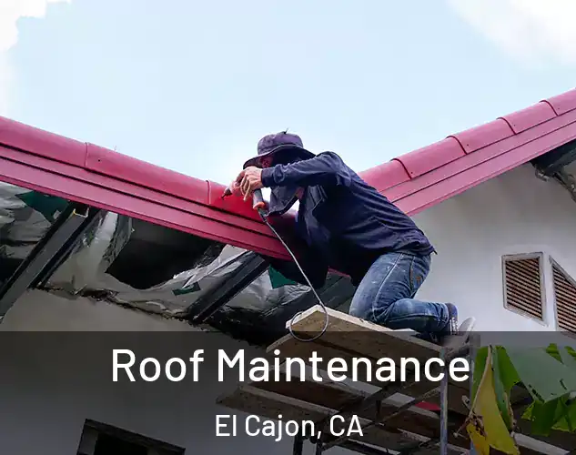  Roof Maintenance El Cajon, CA