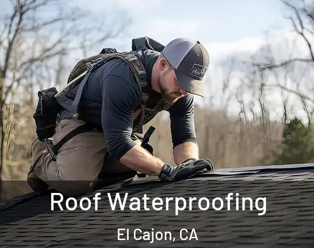 Roof Waterproofing El Cajon, CA